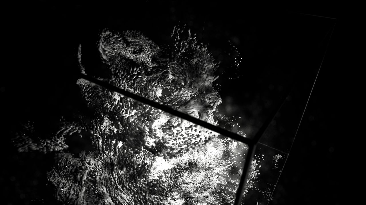 Pandora © Margarita Gehl, Philip Gerdes, Constantin Ruchay