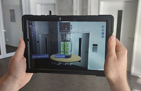 Auf einem Tablett sieht man ein Gefäß, in dem Algen wachsen.