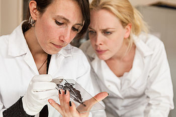 Zwei Forscherinnen betrachten etwas auf einer Glasplatte © HTW Berlin/Nina Zimmermann