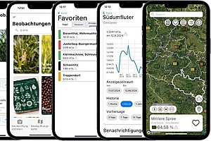 Screenshots der Info-App mit Karten und Grafiken. Copyright: HTW Berlin
