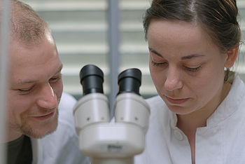 Zwei Forscher*innen diskutieren an einem Mikroskop © HTW Berlin/Rainer Meißle